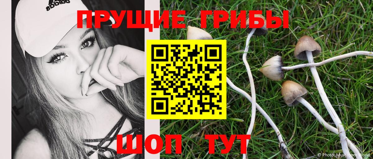 Псилоцибиновые грибы мухоморы Тулун